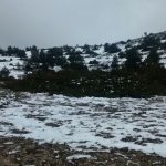 paisaje nieve