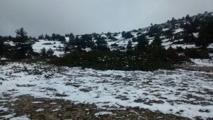 paisaje nieve
